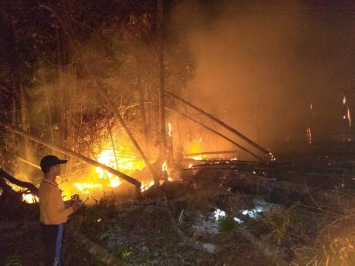 PADAMKAM API. Petugas berigdalkarhut TNBKDS bersama TNI-Polri memadamkan api di area penyangga TNDS Desa Lanjak Deras Batang Lupar, Kapuas Hulu, Jumat (13/7). Humas TNBKDS for RK