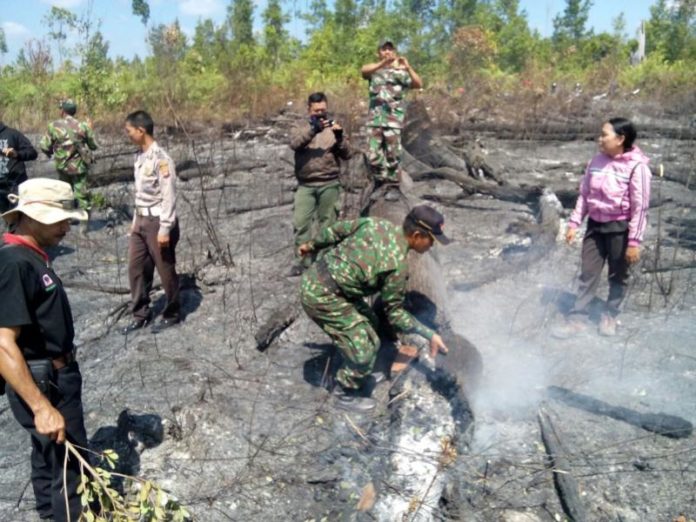 PADAMKAN API. Tim Terpadu Karhutla memadamkan api di lokasi kebakaran di Cagar Alam Mandor, Selasa (24/7). Tim Terpadu Karhutla Mandor for RK