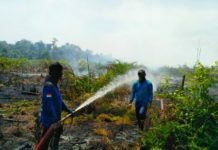 Karhutla ‘Tradisi’ Musim Kemarau PADAMKAN API. Personel BNPB Mempawah bersama warga berupaya memadamkan api yang membakar lahan di Desa Malikian, Kecamatan Sungai Kunyit, Rabu (18/7). Ari Sandy