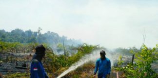 Karhutla ‘Tradisi’ Musim Kemarau PADAMKAN API. Personel BNPB Mempawah bersama warga berupaya memadamkan api yang membakar lahan di Desa Malikian, Kecamatan Sungai Kunyit, Rabu (18/7). Ari Sandy