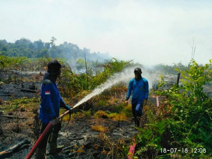 PADAMKAN API. Personel BNPB Mempawah bersama warga berupaya memadamkan api yang membakar lahan di Desa Malikian, Kecamatan Sungai Kunyit, Rabu (18/7). Ari Sandy