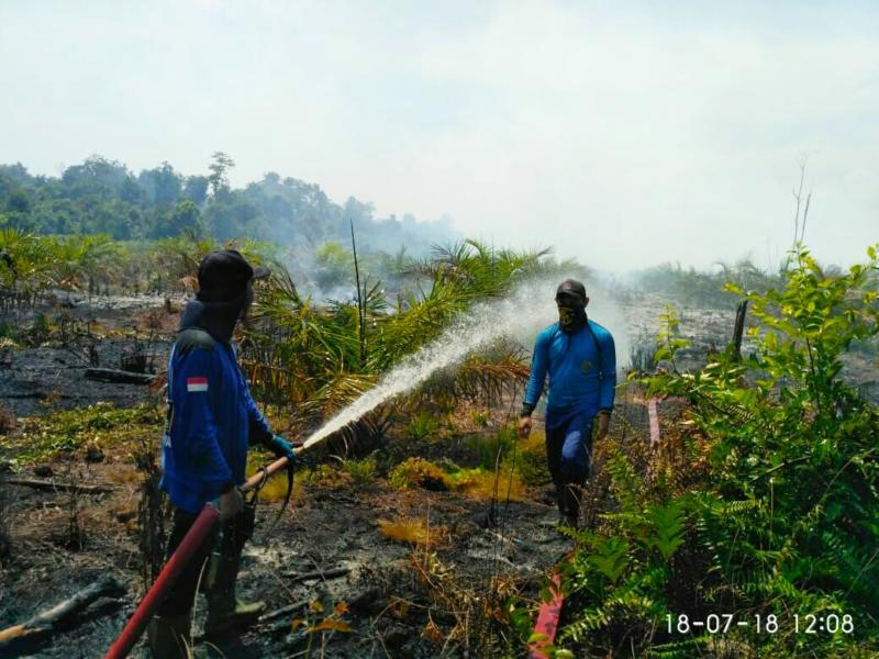 PADAMKAN API. Personel BNPB Mempawah bersama warga berupaya memadamkan api yang membakar lahan di Desa Malikian, Kecamatan Sungai Kunyit, Rabu (18/7). Ari Sandy