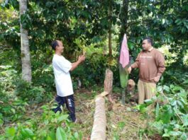 Swafoto: Warga saat berswafoto dengan bunga Rafflesia yang muncul di Dusun Pangkin, Desa Mungguk, Sekada Hilir, Senin (23/7)--Abdu Syukri