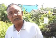 Soroti Praktik Illegal Logging di Kayong Utara Foto--Abdul Rani