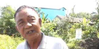 Soroti Praktik Illegal Logging di Kayong Utara Foto--Abdul Rani