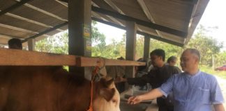 Hotel Sapi di Hutan Jati