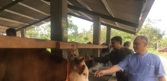 Hotel Sapi di Hutan Jati