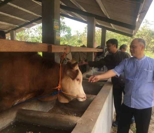 Hotel Sapi di Hutan Jati