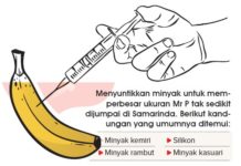 Nikmat Membawa Sengsara