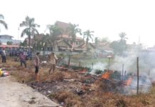 Panggang Lemang 2018 Ruas