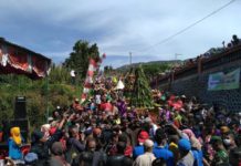 Pupus Pandangan Negatif Ritual Petik Tembakau RAMAI. Menyemutnya warga dalam festival Tungguk Tembakau di lerang Gunung Merbabu dan Merapi. Nasuha-INDOPOS