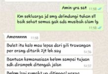 Maling Anjing di Medan Jadi Hoax Gempa Lombok