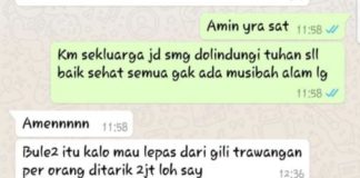 Maling Anjing di Medan Jadi Hoax Gempa Lombok