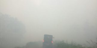 Kabut Asap Lumpuhkan Pendidikan Kubu Raya