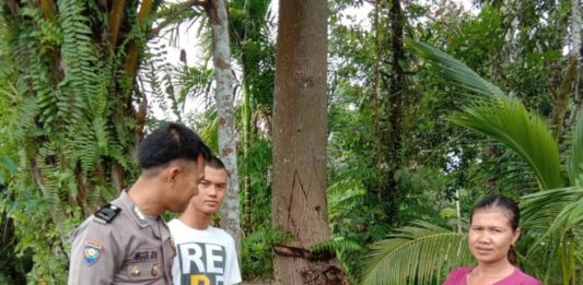 Anak Pasangan Pemulung dan Buruh Cuci Lolos Seleksi Polisi LOLOS SELEKSI. Bhabinkamtibmas Desa Sungai Ringin, Brigadir Anggre Jaya Laksana bertemu dengan Niko dan ibunya di Desa Sungai Ringin, Jumat (3/8). Meski ayah dan ibunya merupakan pemulung dan buruh cuci, Niko berhasil lolos Seleksi Penerimaan Bintara Polri Tahun 2018. Abdu Syukri