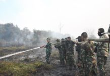 Pangdam: Ada Indikasi Karhutla Direncanakan