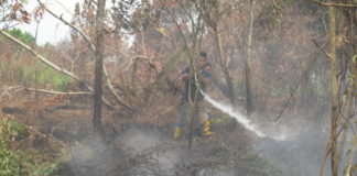 Kebakaran Lahan Hantui Pontianak PEMADAMAN. Anggota Damkar Mariana melakukan pemadam kebakaran lahan di Jalan Padat Karya, Pontianak Tenggara, Senin (6/8). Maulidi Murni -RK
