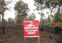 Untan Tak Termasuk, Asal Api Tanah Warga