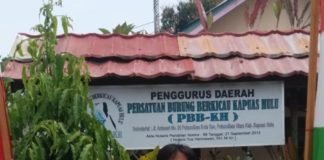 Penghobi Burung Tengarai Ada Unsur Politis