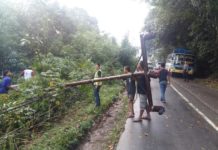 Tiang Listrik Tumbang, Lalu Lintas Sekadau-Sintang Macet Sejam URAI KEMACETAN. Personel Polres Sekadau mengurai kemacetan yang terjadi di KM 22, Dusun Gonis Rabu, Kamis (23/8) sore. Kemacetan terjadi karena ada pohon yang menimpa tiang listrik hingga tumbang ke Jalan Sekadau-Sintang--Abdu Syukri