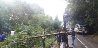 Tiang Listrik Tumbang, Lalu Lintas Sekadau-Sintang Macet Sejam URAI KEMACETAN. Personel Polres Sekadau mengurai kemacetan yang terjadi di KM 22, Dusun Gonis Rabu, Kamis (23/8) sore. Kemacetan terjadi karena ada pohon yang menimpa tiang listrik hingga tumbang ke Jalan Sekadau-Sintang--Abdu Syukri