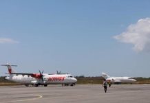 Sajak Sunyi Sebelum Sapi Sepi