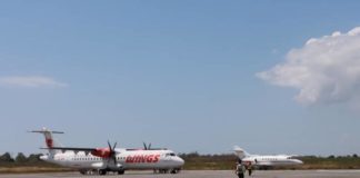 Sajak Sunyi Sebelum Sapi Sepi