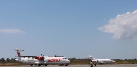 Sajak Sunyi Sebelum Sapi Sepi