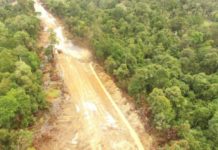Pembukaan Hutan di KEE Putus Jalur Jelajah Satwa Foto: dokumen Aidenvironment