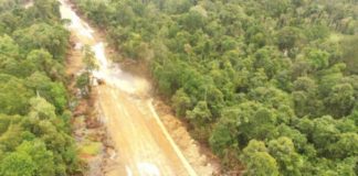 Pembukaan Hutan di KEE Putus Jalur Jelajah Satwa Foto: dokumen Aidenvironment