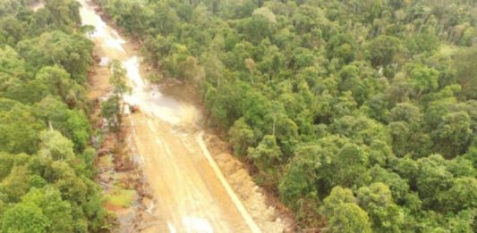 Pembukaan Hutan di KEE Putus Jalur Jelajah Satwa Foto: dokumen Aidenvironment