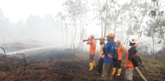 Lahan Terbakar Kepung Pemukiman PADAMKAN API. Petugas melakukan pemadamam api di kawasan Parit Cahaya Baru, Jalan Parit Haji Husin 2, Jumat (17/8) sekira pukul 15.00 WIB. Andi Ridwansyah-RK