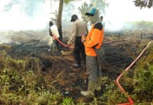 Marak Karhutla, Damkar Swasta Mengeluh PEMADAMAN. Petugas melakukan pemadaman api di Wilayah di Dusun Cempak, Desa Punggur Kecil Kecamatan Sungai Kakap, Minggu (20/8) sekira pukul 11.00 WIB. Polisi for RK