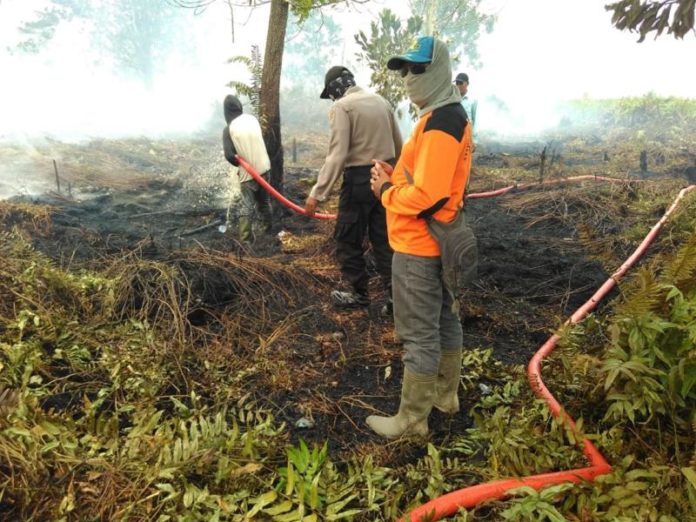 PEMADAMAN. Petugas melakukan pemadaman api di Wilayah di Dusun Cempak, Desa Punggur Kecil Kecamatan Sungai Kakap, Minggu (20/8) sekira pukul 11.00 WIB. Polisi for RK