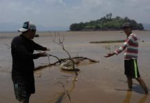 Buaya Muncul di Danau Sentarum BUAYA. Tampak seekor buaya Sinyulong terjebak di bawah batang dan kubangan lumpur di Danau Sentarum surut, tepatnya daerah Pulau Melayu Kecamatan Batang Lupar (Lanjak) Minggu (19/8). Warga for RK