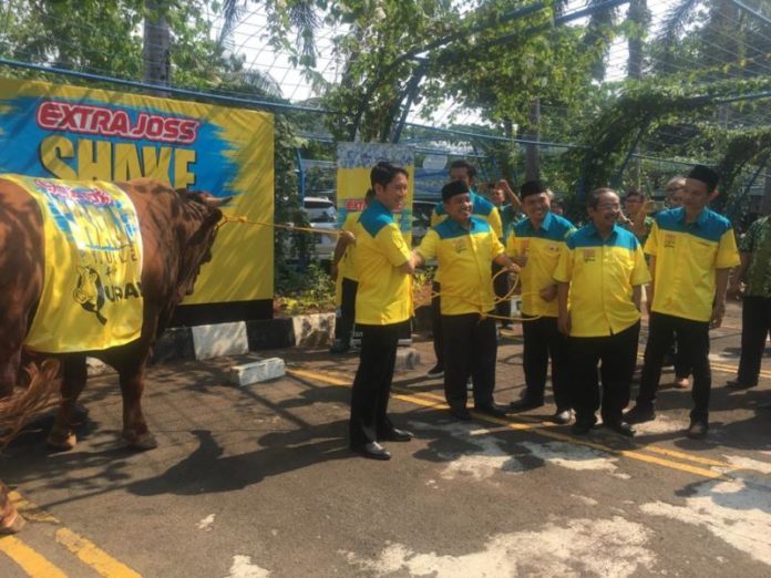 Simon Jonathan menyerahkan secara simbolis sapi qurban dengan berat 1 ton kepada PP Muhammadiyah dan PB Nahdlatul Ulama.