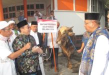 Dilengkapi Bumbu Masak hingga Sapi Mengamuk KURBAN JOKOWI. Dodi Riyamadji menyerahkan hewan kurban milik Presiden RI Joko Widodo berupa sapi limosin kepada Sutarmidji di lokasi Salat Id Jalan Rahadi Oesman, Pontianak, Rabu (22/8). Maulidi Murni-RK
