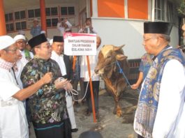 KURBAN JOKOWI. Dodi Riyamadji menyerahkan hewan kurban milik Presiden RI Joko Widodo berupa sapi limosin kepada Sutarmidji di lokasi Salat Id Jalan Rahadi Oesman, Pontianak, Rabu (22/8). Maulidi Murni-RK