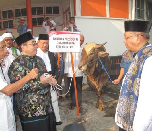 Dilengkapi Bumbu Masak hingga Sapi Mengamuk KURBAN JOKOWI. Dodi Riyamadji menyerahkan hewan kurban milik Presiden RI Joko Widodo berupa sapi limosin kepada Sutarmidji di lokasi Salat Id Jalan Rahadi Oesman, Pontianak, Rabu (22/8). Maulidi Murni-RK
