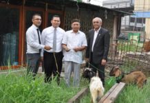 Hotel Aston Salurkan 7 Ekor Kambing HEWAN KURBAN. Anto W Soemartono menyerahkan hewan kurban kepada salah seorang pengurus Masjid di Kota Pontianak, Senin (20/8). Hotel Aston for RK