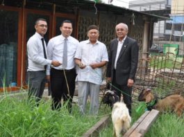 HEWAN KURBAN. Anto W Soemartono menyerahkan hewan kurban kepada salah seorang pengurus Masjid di Kota Pontianak, Senin (20/8). Hotel Aston for RK