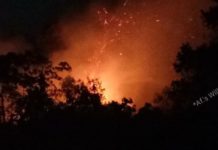 Polisi Amankan 12 Pembakar Lahan LAHAN TERBAKAR. Kebakaran lahan di Jalan Perdana Pontianak, Kamis (23/8) sekitar pukul 20.00 WIB. Relawan for RK