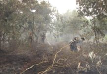 Bukan Padamkan Api Setiap Kemarau PADAMKAN API. Petugas memadamkan api kebakaran lahan di salah satu wilayah Kota Pontianak, kemarin. Dok