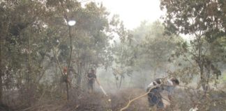 Bukan Padamkan Api Setiap Kemarau PADAMKAN API. Petugas memadamkan api kebakaran lahan di salah satu wilayah Kota Pontianak, kemarin. Dok