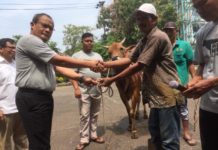 Jelang Pilpres, Pegawai Pajak Dilarang Ikut Kampanye KURBAN. Slamet Sutantyo menerima dua ekor sapi dari pedagang di halaman Kanwil DJP Kalbar untuk diserahkan kepada yang membutuhkan, Kamis (23/8). Nova Sari-RK