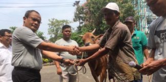 Jelang Pilpres, Pegawai Pajak Dilarang Ikut Kampanye KURBAN. Slamet Sutantyo menerima dua ekor sapi dari pedagang di halaman Kanwil DJP Kalbar untuk diserahkan kepada yang membutuhkan, Kamis (23/8). Nova Sari-RK