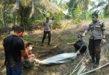 Hilang Sejak 14 Agustus, Arifin Ditemukan Membusuk