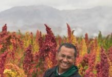 Airplane Mode ke Kecamatan Sembilan Warna