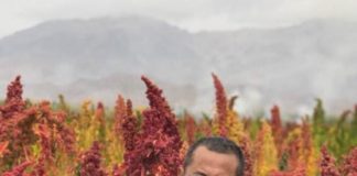 Airplane Mode ke Kecamatan Sembilan Warna