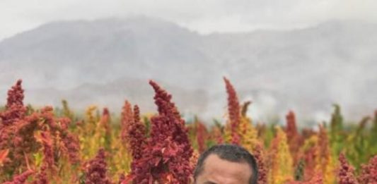 Airplane Mode ke Kecamatan Sembilan Warna